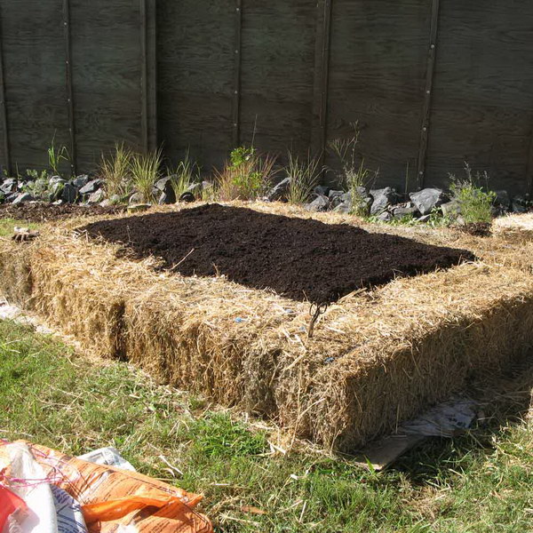 No-Dig Straw Bale Raised Garden Bed.