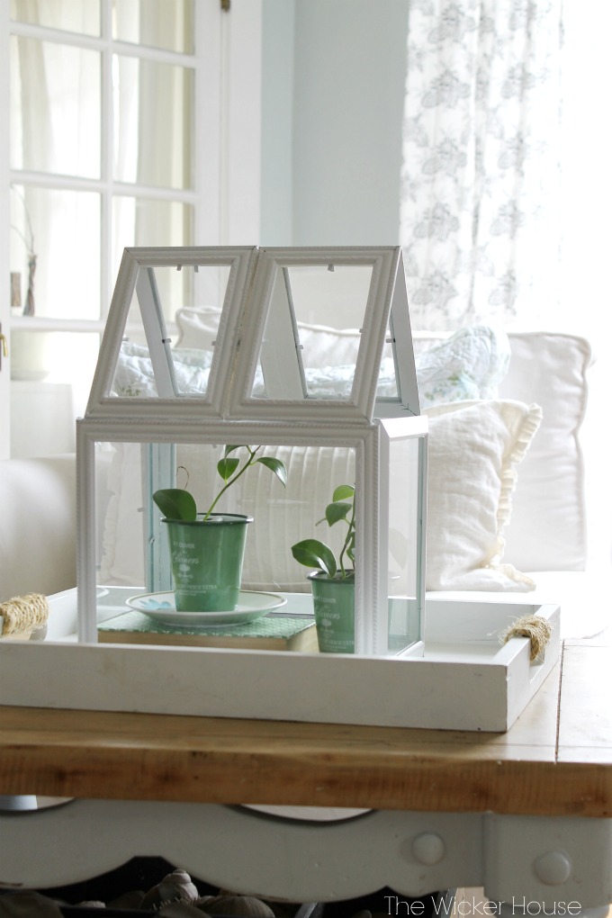 Picture Frame Terrarium.