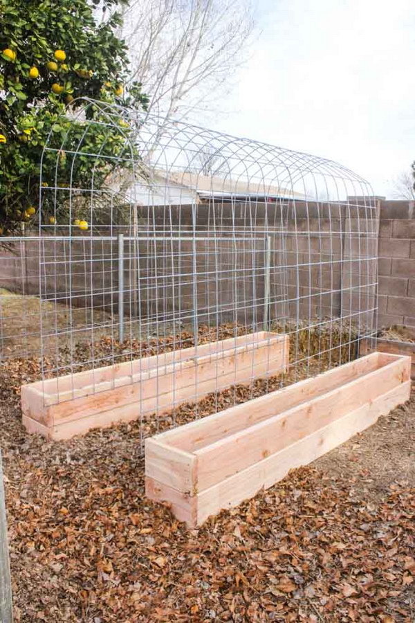 Raised Garden Bed with Trellis.