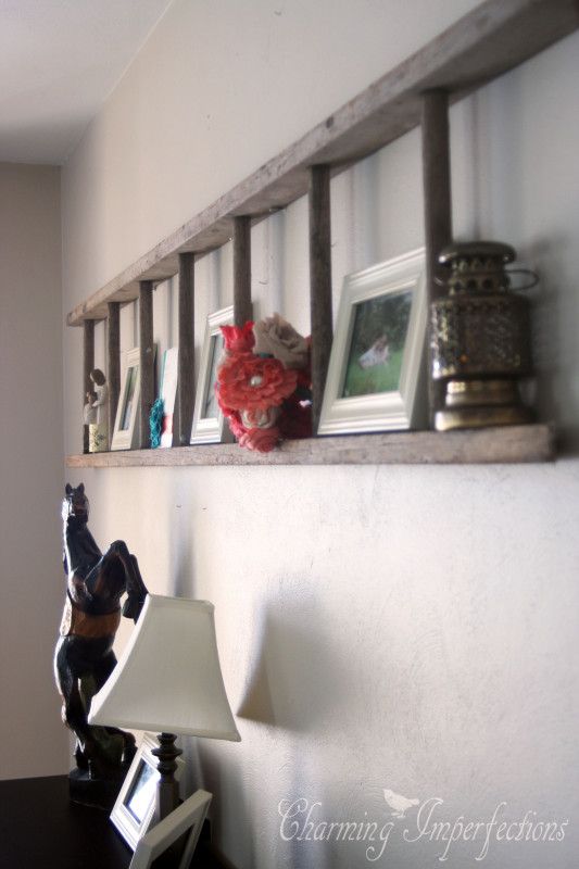 Rustic Ladder Shelf.