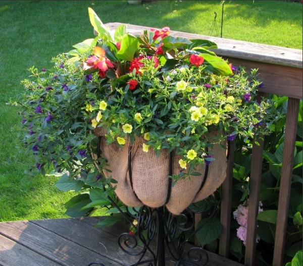 Rustic Stand as a container.