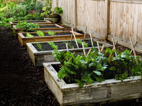 Wooden Raised Garden Bed.