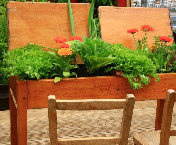 Wooden School Desk for Container Garden.