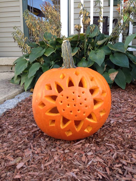 Carved sunflower pumpkin.