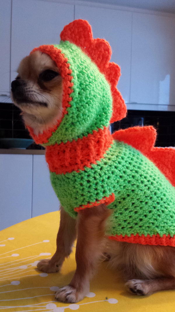 Dog Dragon Costume Crochet Pattern.