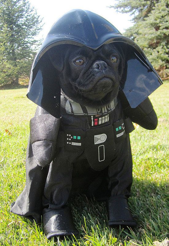 Dog Star Wars Darth Vader Costume.