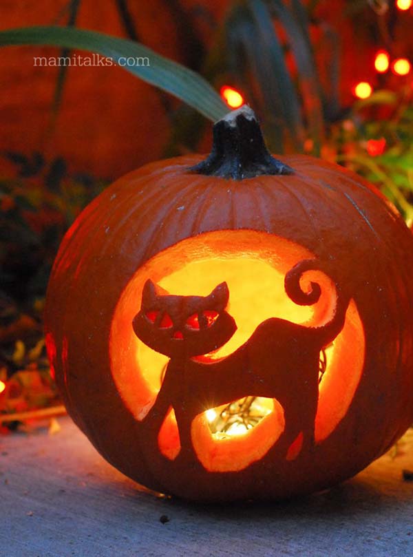 Pumpkin Carved Cat.