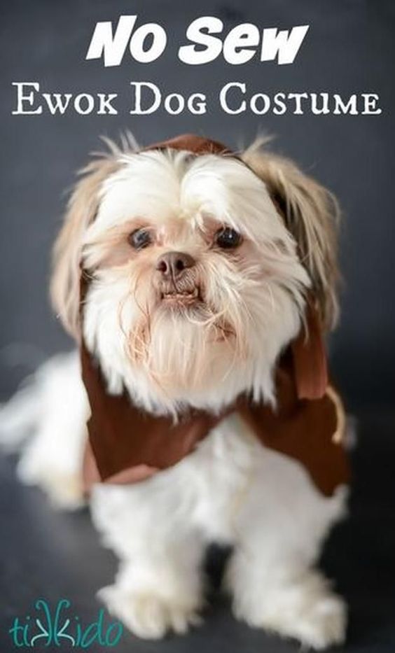 Star Wars Ewok DIY Dog Costume.