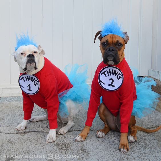Thing 1 and Thing 2 Dog Costumes.