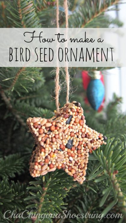 Birdseed ornament by ChaChing on a Shoestring Christmas Neighbor plate treats