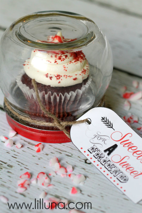 Cupcake Gift Jar by Lil Luna