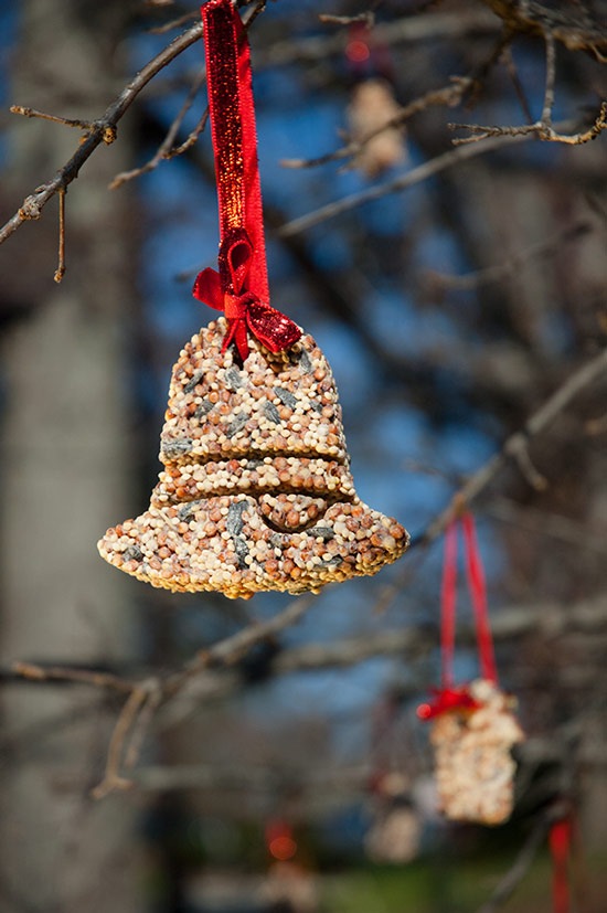 Decorate Trees with Birdseed Ornaments.