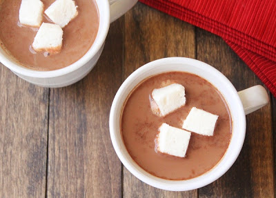 Low Carb Peppermint Hot Chocolate from Holistically Engineered