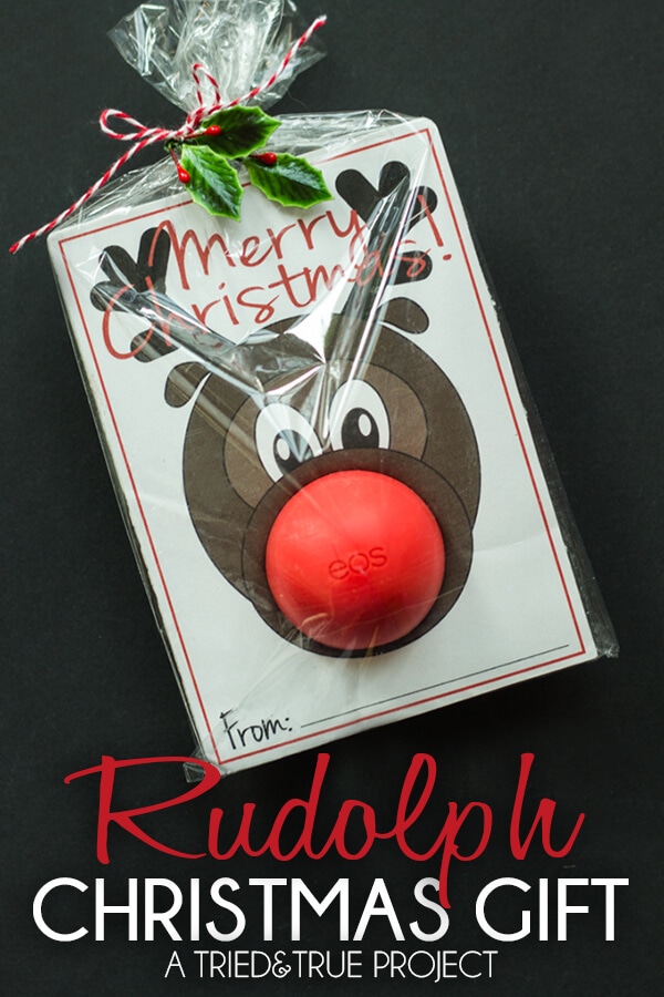 Rudolph Christmas Gift at Crafting Chicks