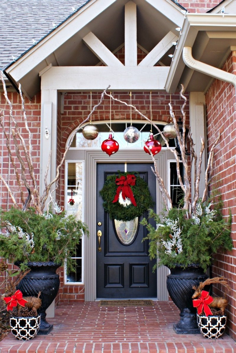 Sprucing Up Plants With Shimmery Branches.