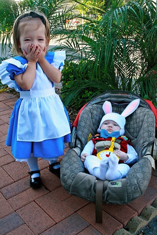 Alice and White Rabbit.