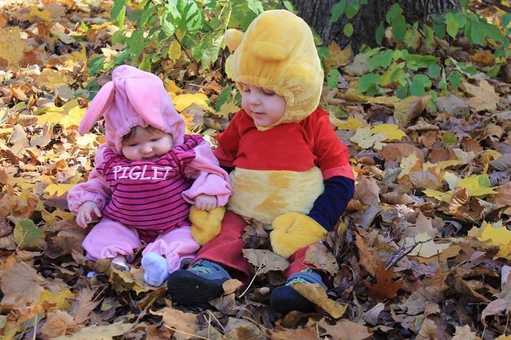 Winnie the Pooh and Piglet.