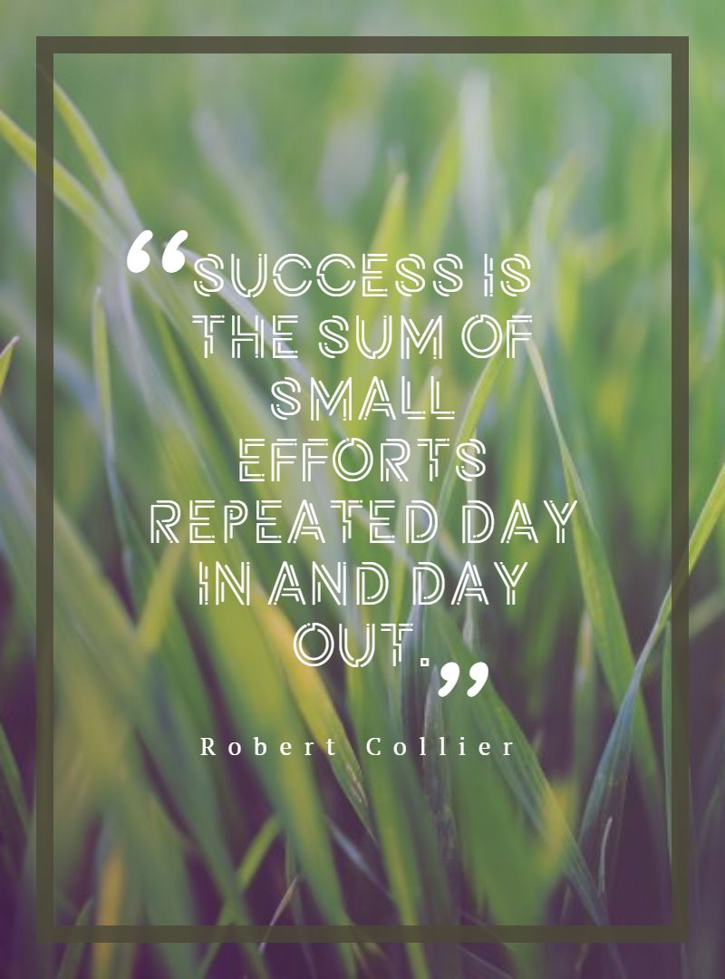 Success is the sum of small efforts repeated day in and day out.