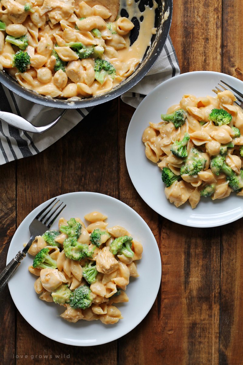 Chicken and Broccoli Shells and Cheese.