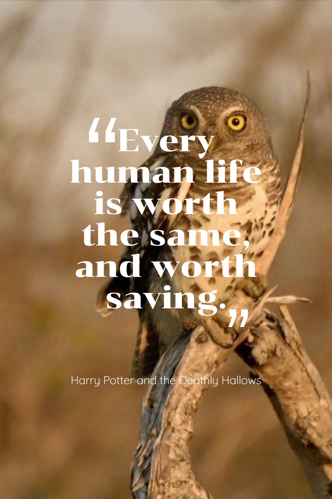 Every human life is worth the same and worth saving.
