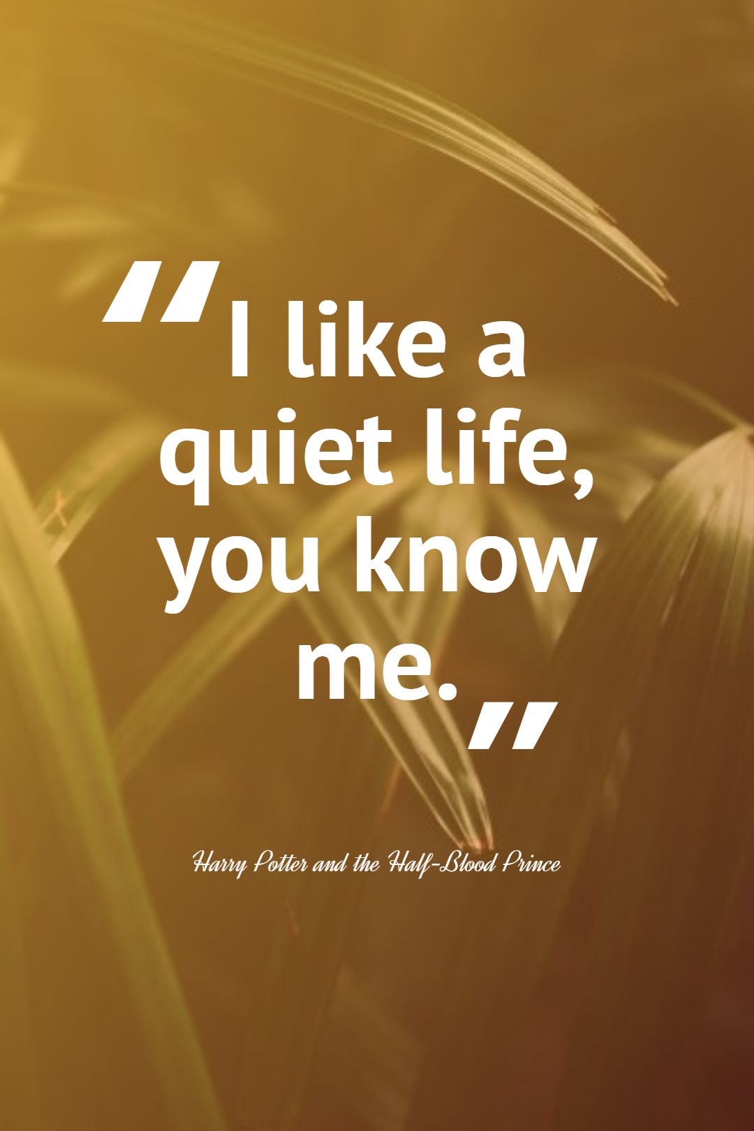 I like a quiet life you know me.