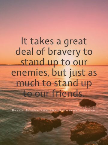 It takes a great deal of bravery to stand up to our enemies but just as much to stand up to our friends.