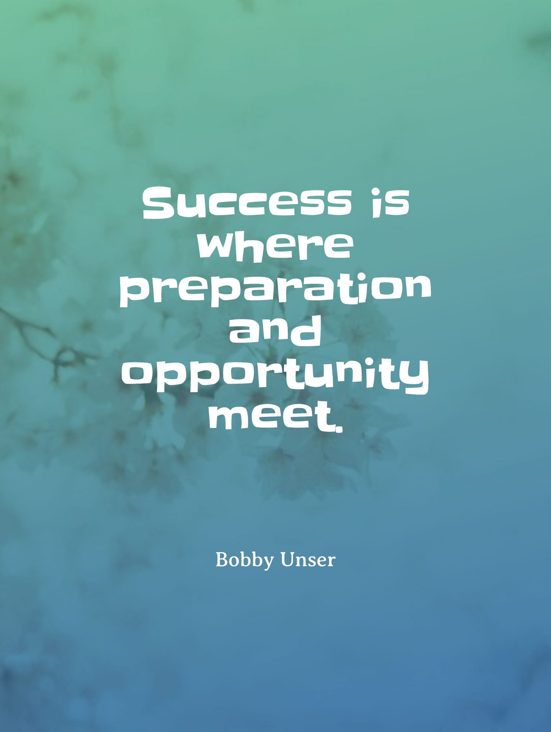 Success is where preparation and opportunity meet. scaled