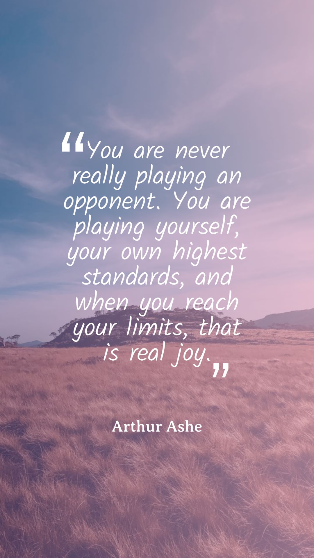 You are never really playing an opponent. You are playing yourself your own highest standards and when you reach your limits that is real joy.