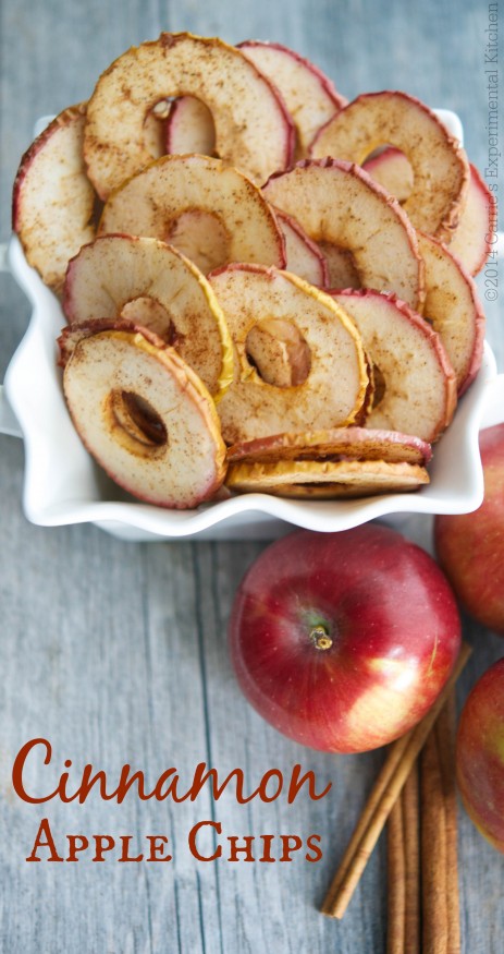 Cinnamon Apple Chips by Carrie’s Experimental Kitchen