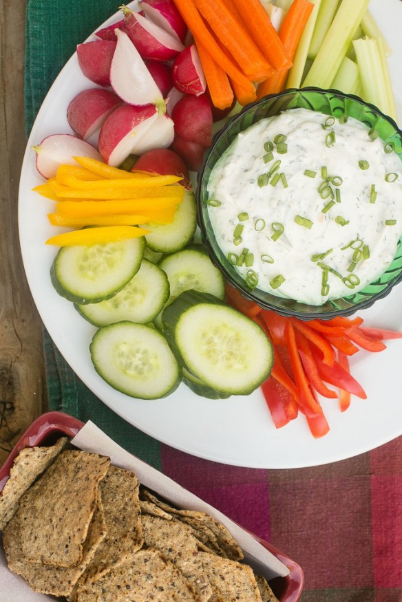 Homemade Ranch Dip Powder by Dinner at the Zoo