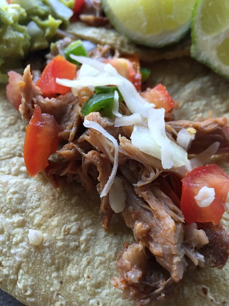 Slow Cooker Salsa Pork by Mashup Mom