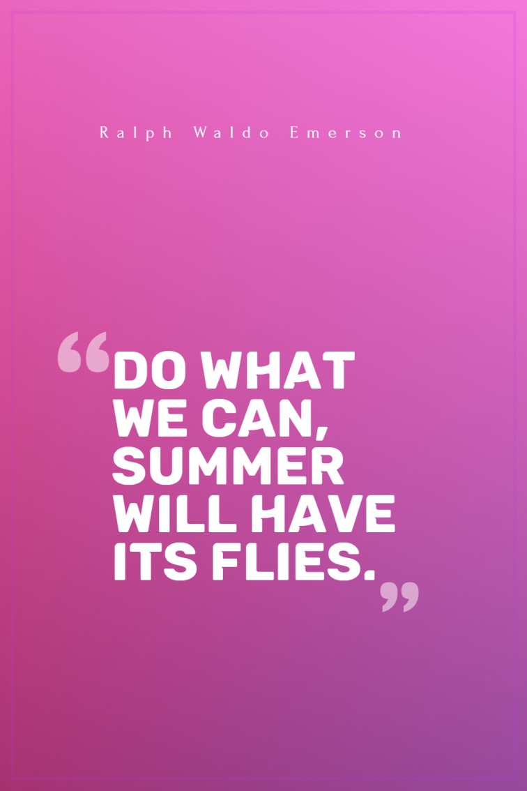 Do what we can summer will have its flies. Ralph Waldo Emerson