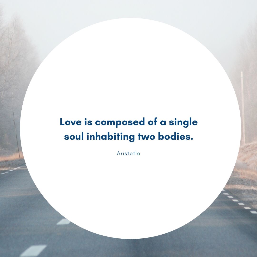 Love is composed of a single soul inhabiting two bodies.