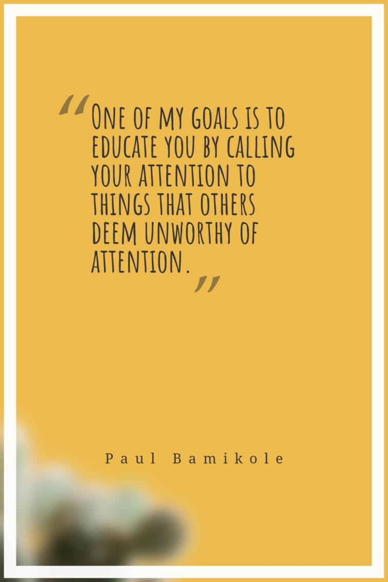 One of my goals is to educate you by calling your attention to things that others deem unworthy of attention. ― Paul Bamikole