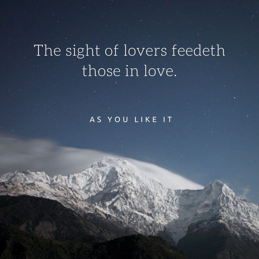 The sight of lovers feedeth those in love.