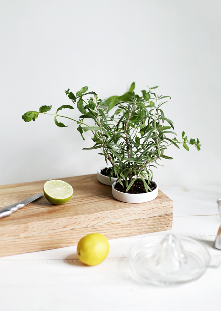 DIY Herb Planter Cutting Board