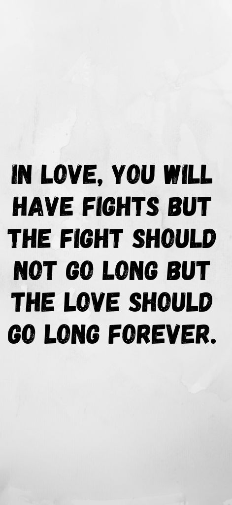 In love, you will have fights but the fight should not go long but the love should go long forever.