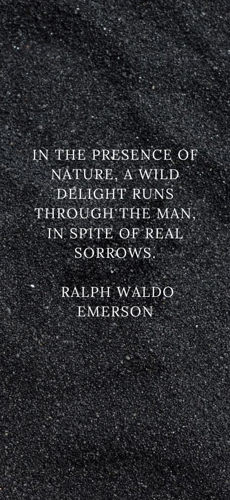 In the presence of nature, a wild delight runs through the man, in spite of real sorrows. Ralph Waldo Emerson