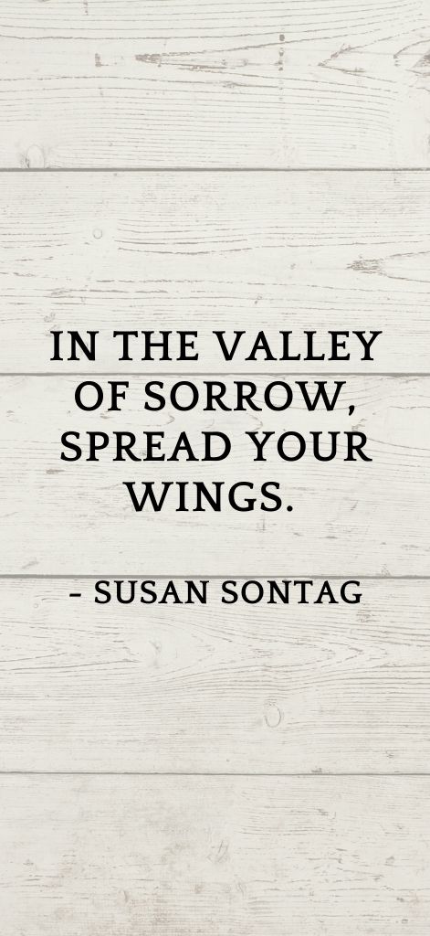 In the valley of sorrow, spread your wings. Susan Sontag