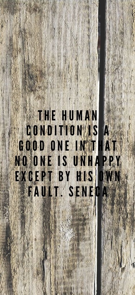 The human condition is a good one in that no one is unhappy except by his own fault. Seneca