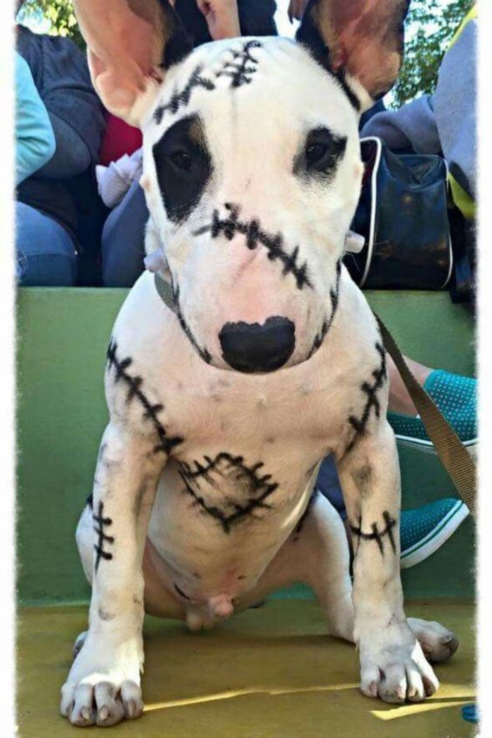 Adorable dog makeup idea for Halloween party.
