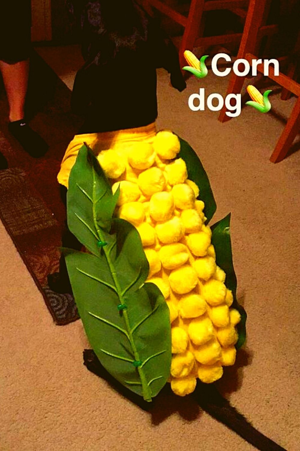 Corn dog costume for Halloween.