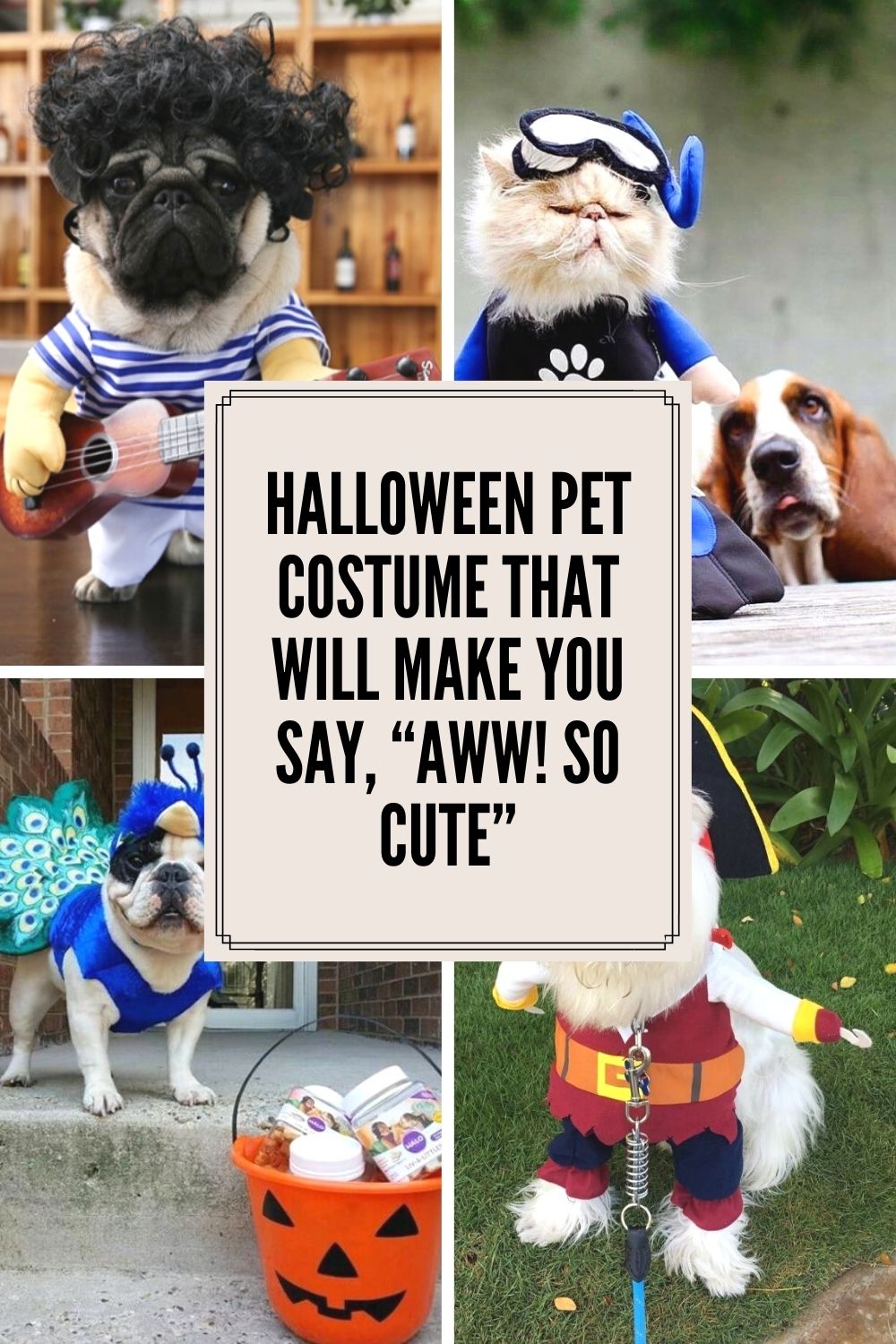 Halloween Pet Costume that will make you say, “Aww! SO Cute”