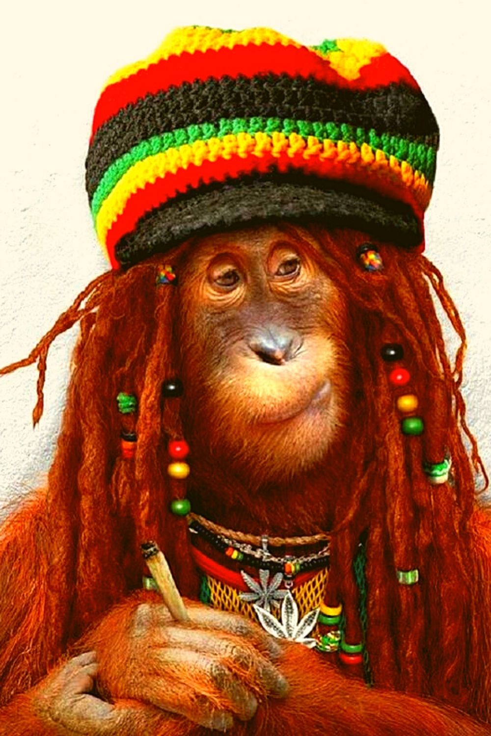 Hippie costume for monkey.