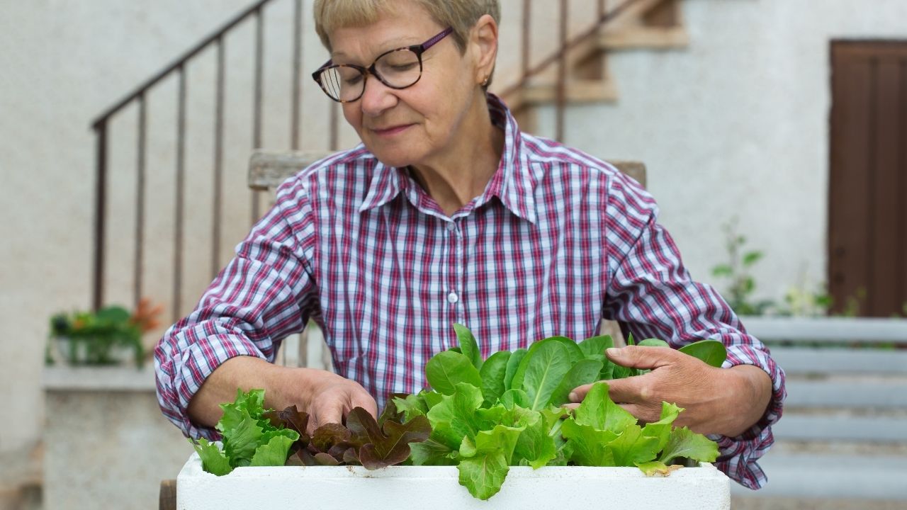 Benefits of Gardening on Mental Health