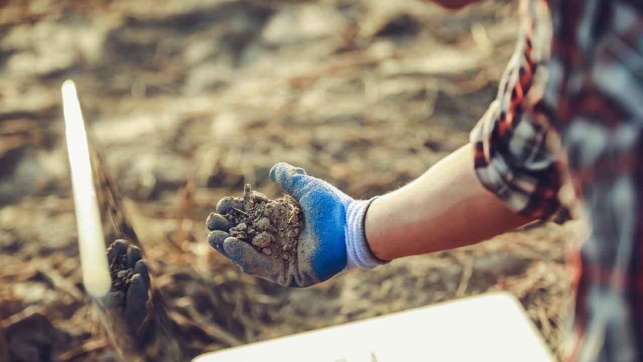 Prior Soil inspection