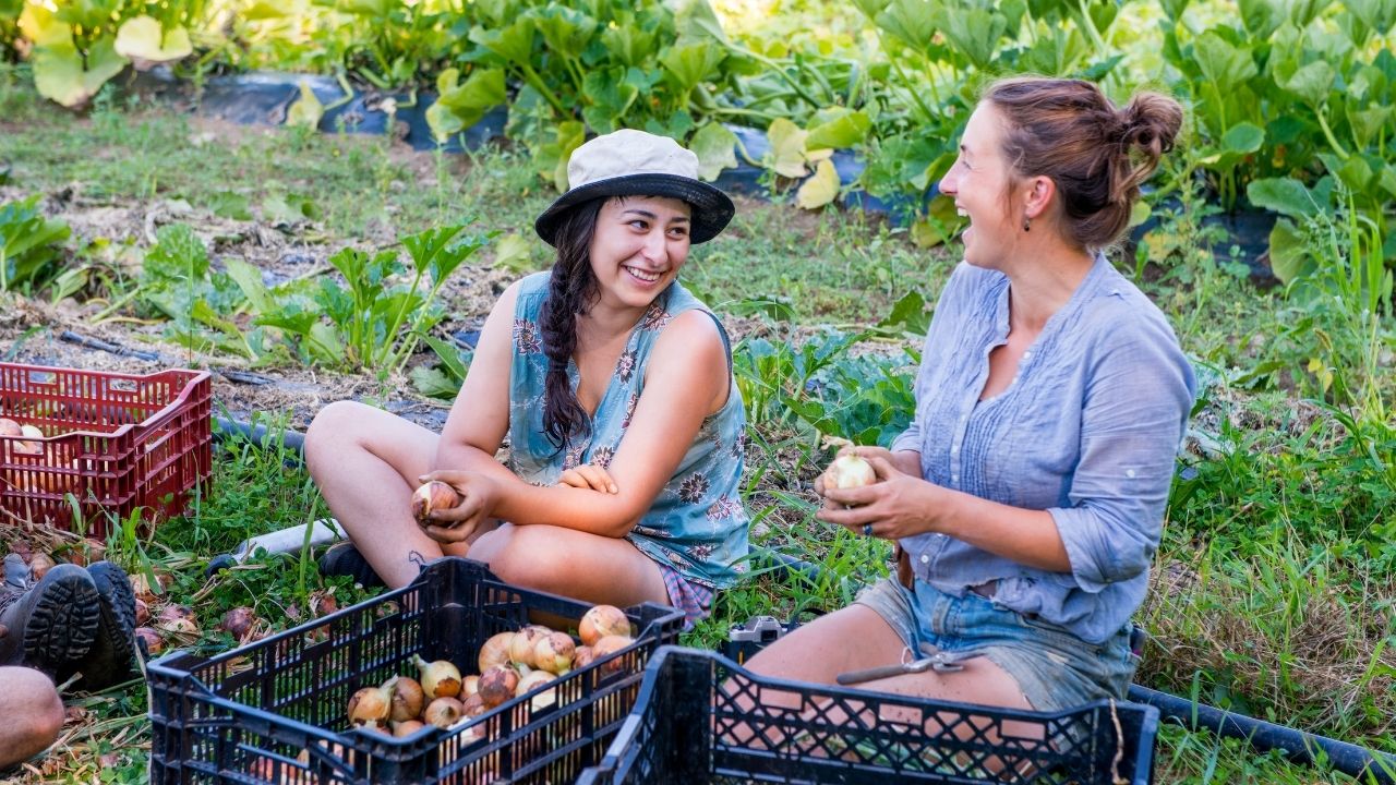 local community gardening group