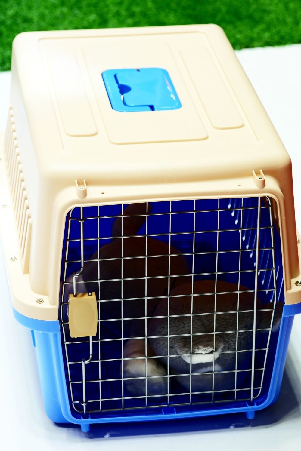 Pet Carrier