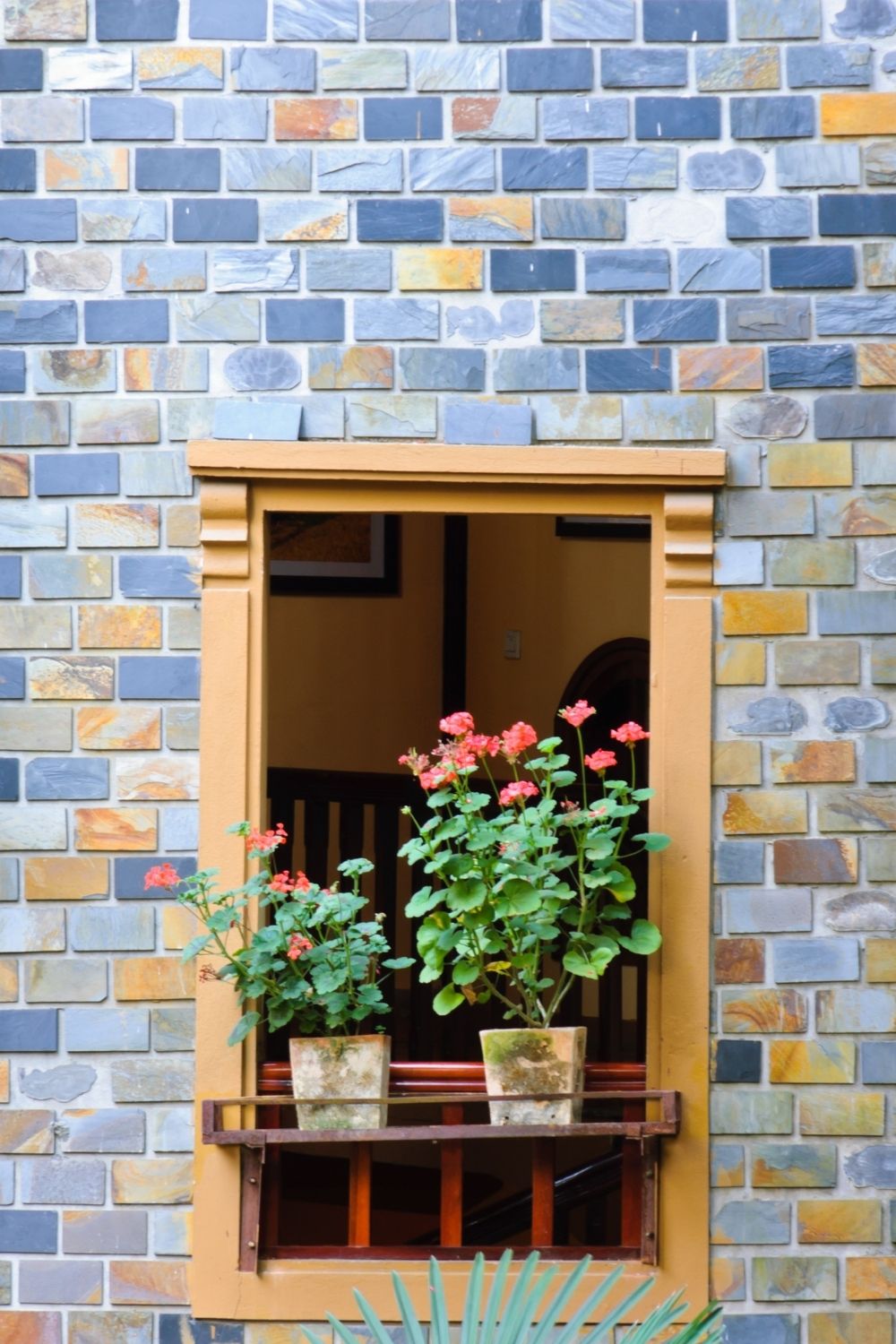 Embellishing a Window Decor With Plants