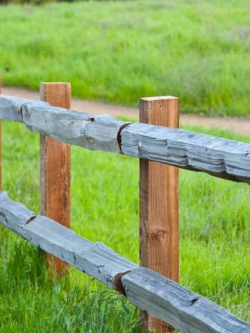 Tips for Taking Care of Your Wooden Fences